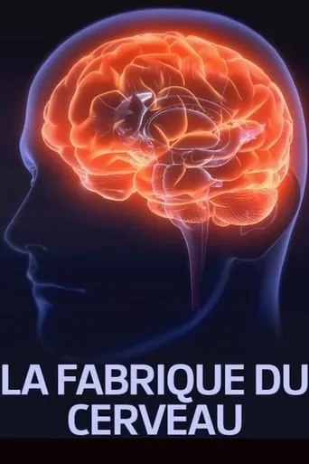 La fabrique du cerveau movie poster - Rated 5/10