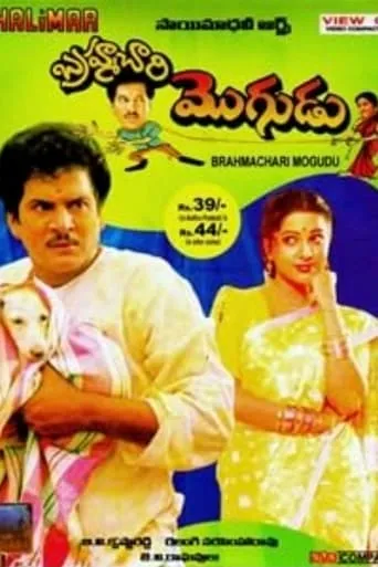 Brahmachari Mogudu movie poster - Rated 8/10