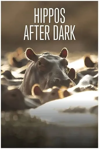 Hippos after Dark movie poster - Entertainment content