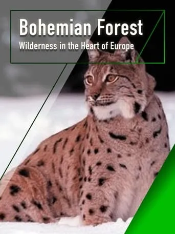The Bohemian Forest - Wilderness in the Heart of Europe movie poster - Rated 6/10
