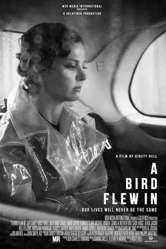 A Bird Flew In movie poster - Entertainment content