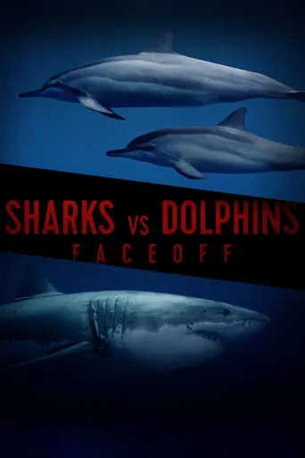 Sharks Vs. Dolphins: Face Off movie poster - Rated 8/10