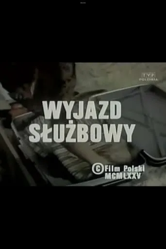 Wyjazd służbowy movie poster - Entertainment content