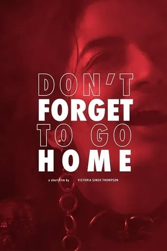 Don't Forget to Go Home movie poster - Entertainment content