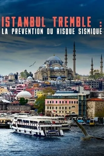 Istanbul tremble : La prévention du risque sismique movie poster - Rated 8/10