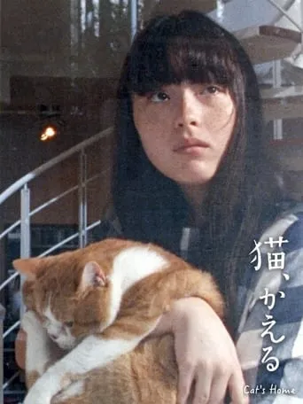 Cat's Home movie poster - Rated 5.3/10