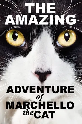 A Cat's Tale movie poster - Rated 10/10