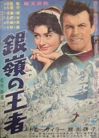 Storm on the Silvery Peaks movie poster - Entertainment content