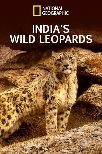 India's Wild Leopards movie poster - Rated 5.5/10