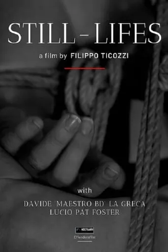 Still-Lifes movie poster - Entertainment content