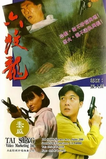 The Vengeance of Six Dragon movie poster - Entertainment content