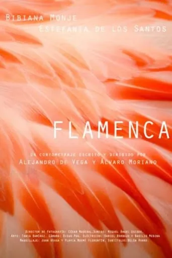 Flamenca movie poster - Entertainment content