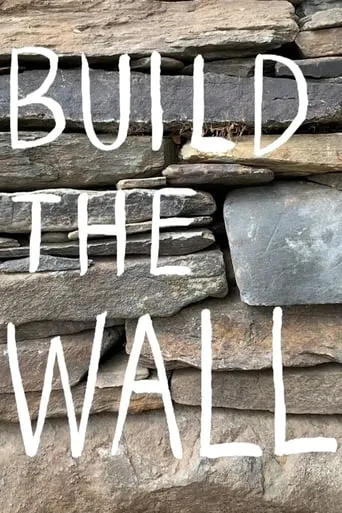 Build the Wall movie poster - Rated 3.5/10