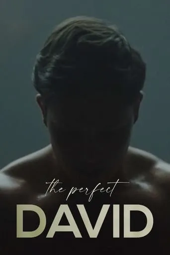 The Perfect David movie poster - Rated 5.1/10