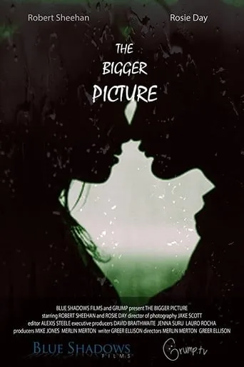 The Bigger Picture movie poster - Entertainment content