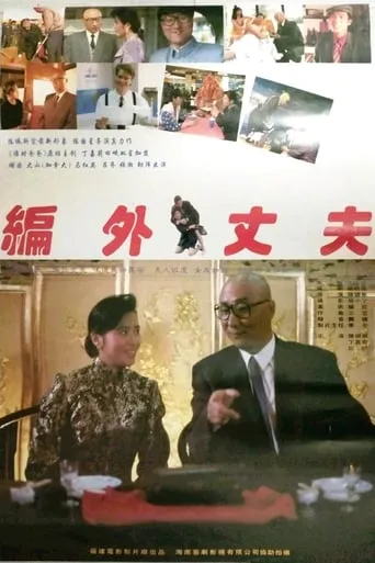 编外丈夫 movie poster - Rated 6/10