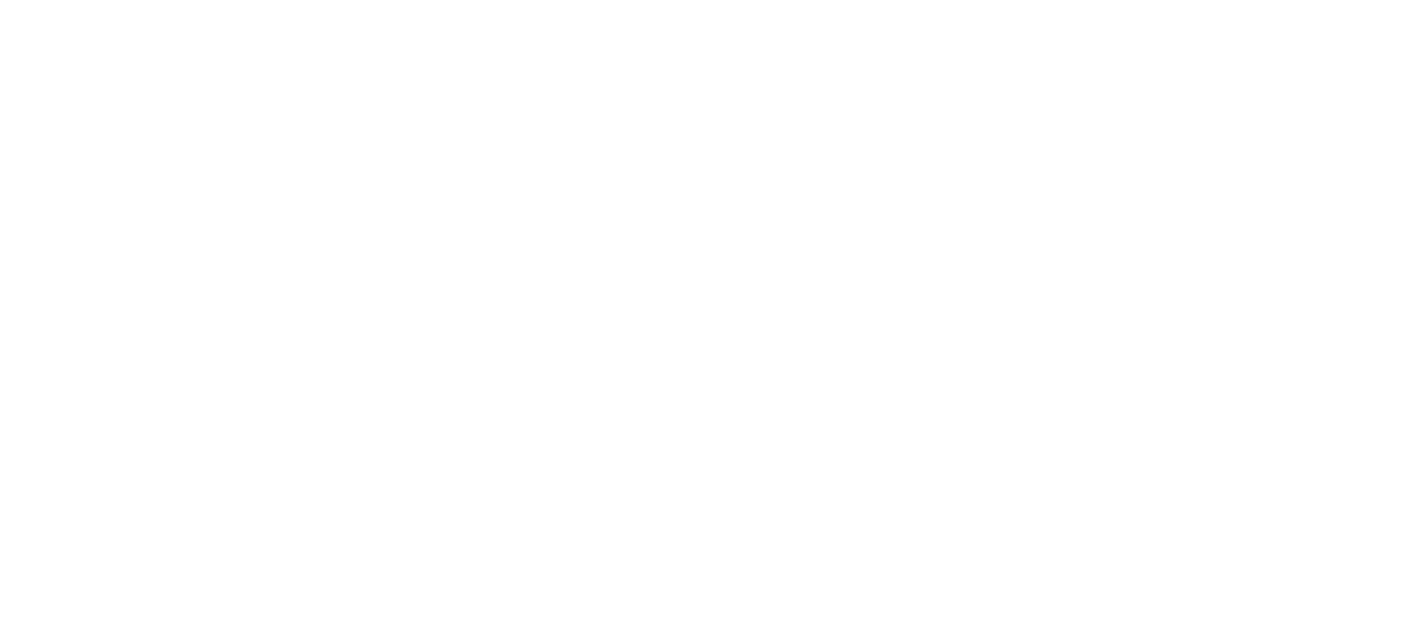 The Christmas Bow