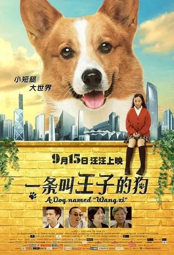 A Dog Named Wang Zi movie poster - Entertainment content