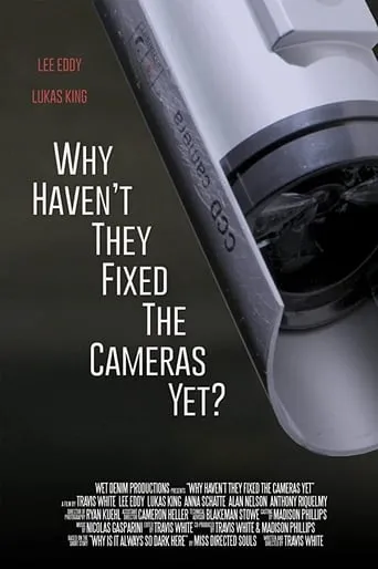 Why Haven't They Fixed the Cameras Yet? movie poster - Entertainment content