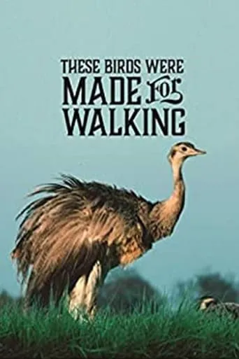 These Birds Were Made for Walking movie poster - Rated 6/10