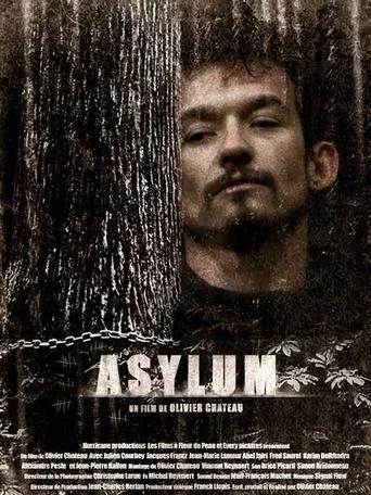 Asylum movie poster - Rated 6/10