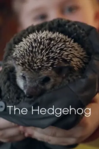The Hedgehog movie poster - Entertainment content