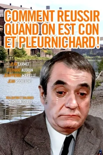 How to Make Good When One Is a Jerk and a Crybaby movie poster - Rated 5.581/10