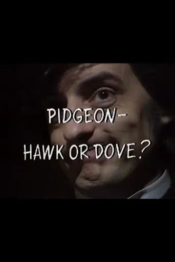 Pidgeon – Hawk or Dove? movie poster - Entertainment content