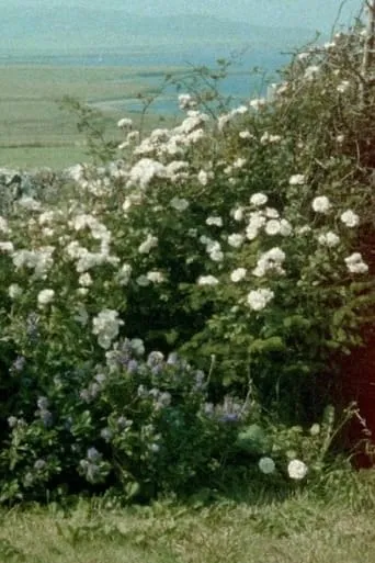 Glimpses from a Visit to Orkney in Summer 1995 movie poster - Entertainment content