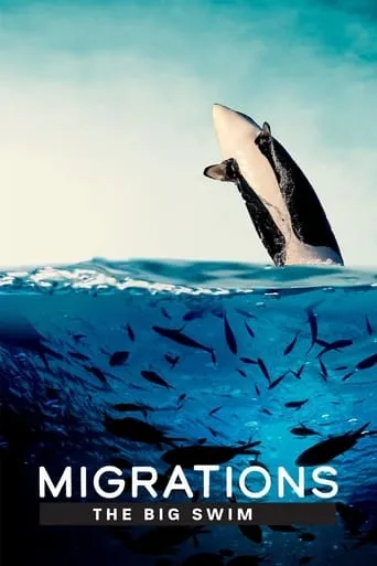 Migrations: The Big Swim movie poster - Rated 9/10