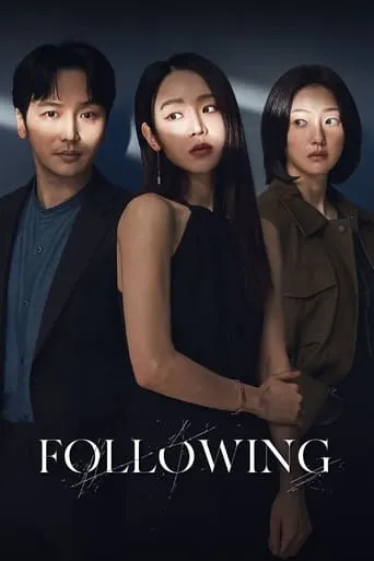 Following movie poster - Rated 7.1/10