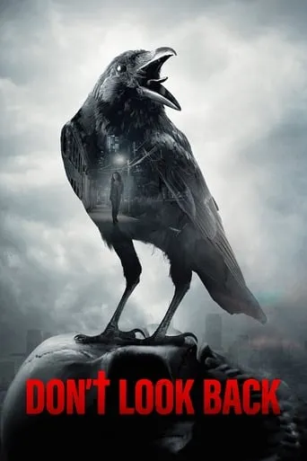 Don't Look Back movie poster - Rated 4.2/10