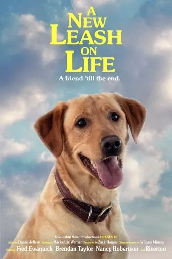 A New Leash On Life movie poster - Entertainment content
