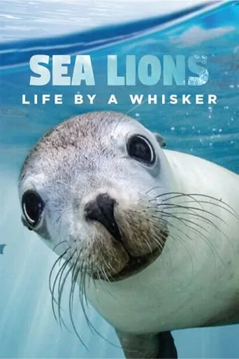 Sea Lions: Life By a Whisker movie poster - Rated 6/10