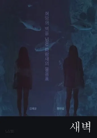 Dawn to Dawn movie poster - Entertainment content