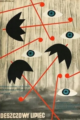 Rainy July movie poster - Rated 6/10