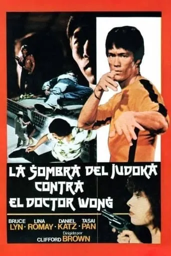 Judoka Shadow versus Doctor Wong movie poster - Rated 3/10