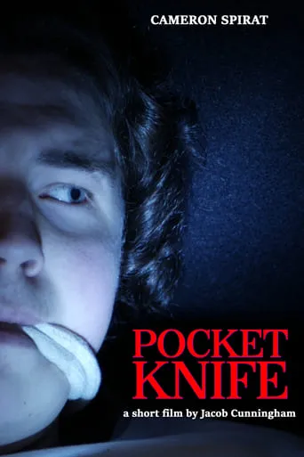 Pocket Knife movie poster - Entertainment content