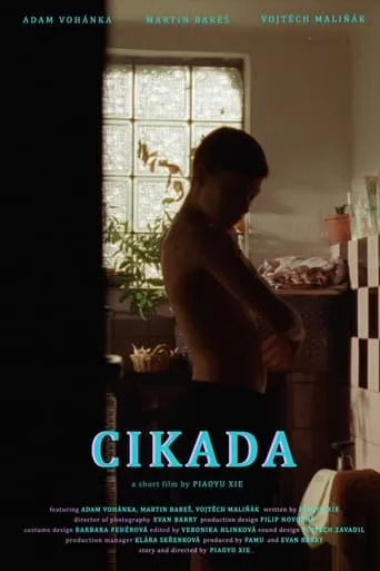 Cicada movie poster - Rated 5/10