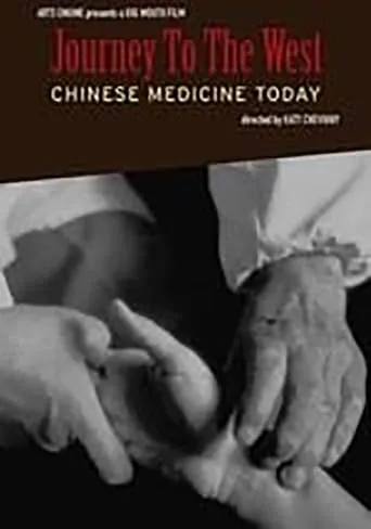 Journey to the West: Chinese Medicine Today movie poster - Entertainment content