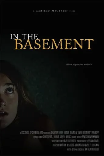 In the Basement movie poster - Rated 6/10