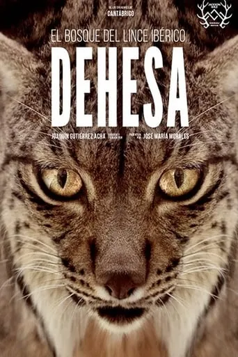 Dehesa: The Forest of the Iberian Lynx movie poster - Rated 8/10