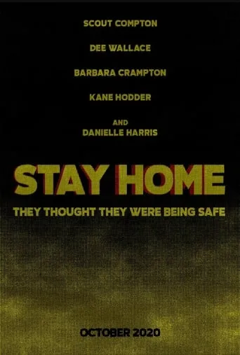 Stay Home movie poster - Rated 6.5/10