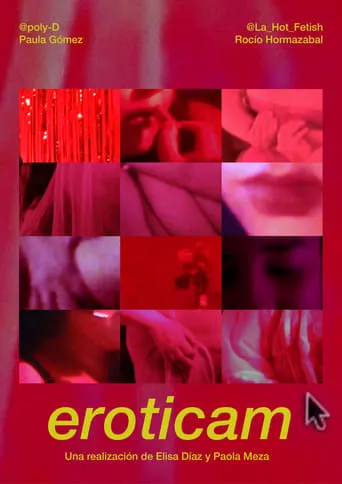 Eroticam movie poster - Rated 6/10