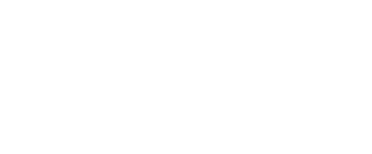 The Bachelor Party