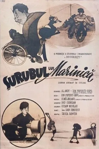 Marinica's Bodkin movie poster - Rated 6.5/10