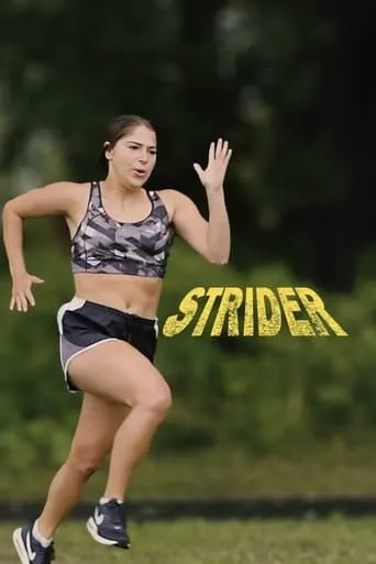 Strider movie poster - Rated 3/10