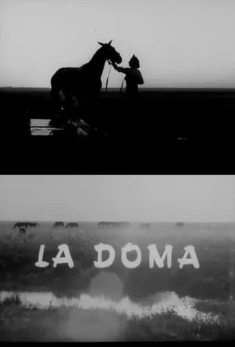 La doma movie poster - Rated 6/10