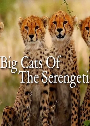 Big Cats of the Serengeti movie poster - Rated 7/10