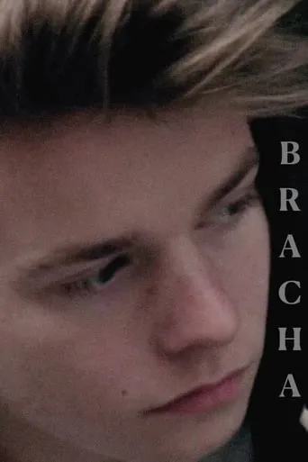 Brother movie poster - Rated 4.3/10